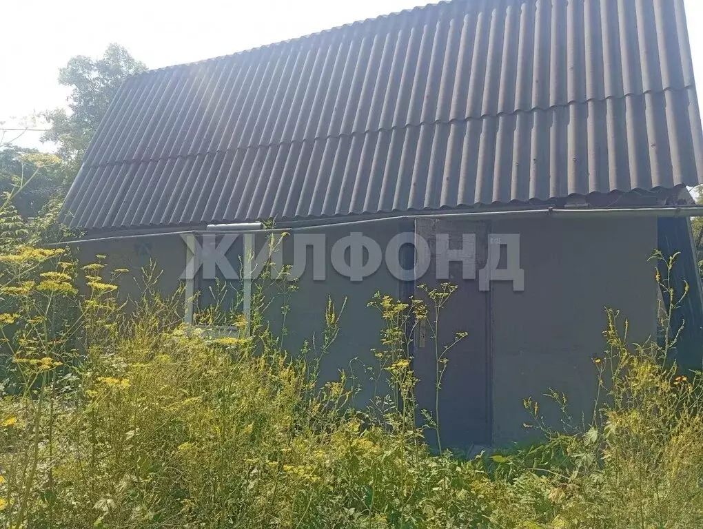 Дом в Искитим, садовое товарищество Зелёный Бор (22 м) - Фото 2