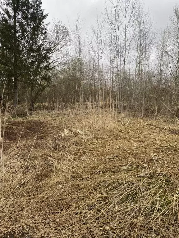Участок в Новгородская область, Новгородский район, Панковское ... - Фото 1