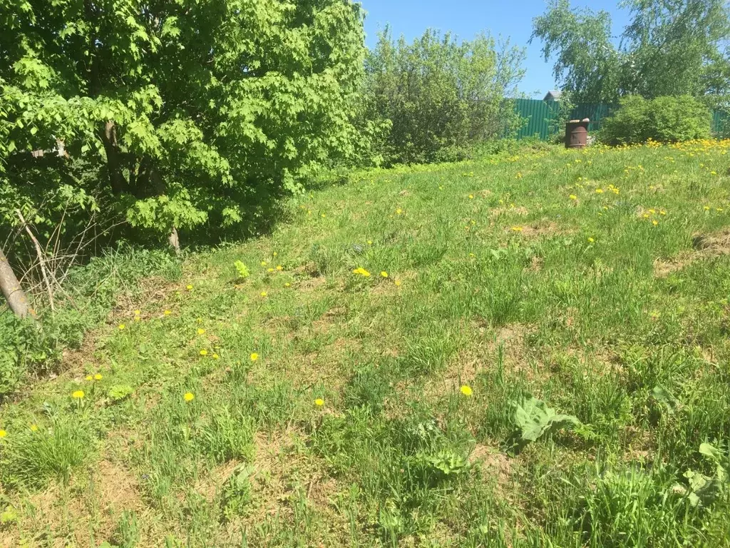 Участок в Московская область, Пушкинский городской округ, д. ... - Фото 1