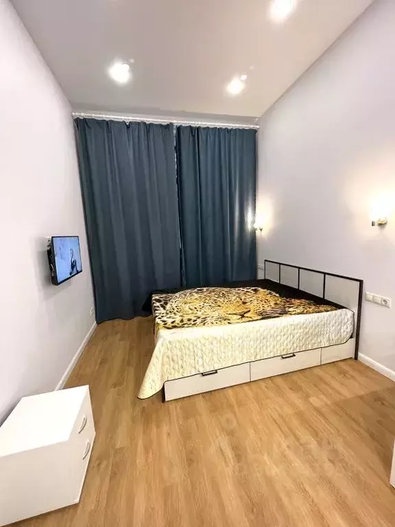 Студия Московская область, Пушкино ул. Просвещения, 12к2 (24.0 м) - Фото 1