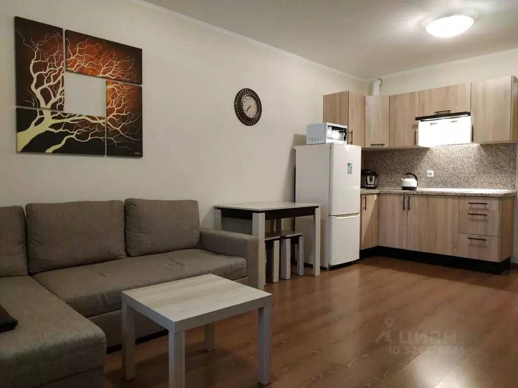 Студия Санкт-Петербург пос. Парголово, Заречная ул., 11к2 (28.0 м) - Фото 1