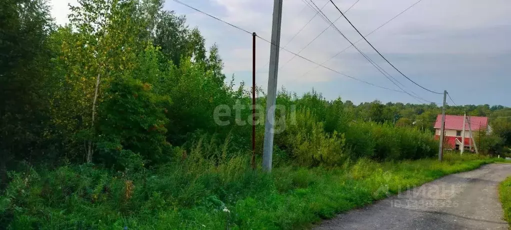 Участок в Новосибирская область, Новосибирский район, с. Барышево ул. ... - Фото 1