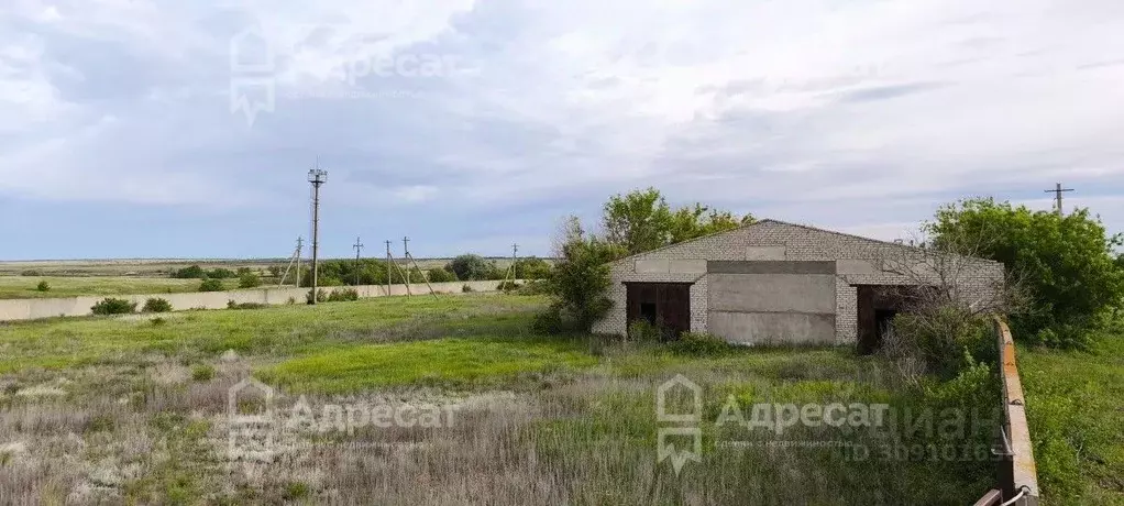 Помещение свободного назначения в Волгоградская область, Дубовский ... - Фото 1