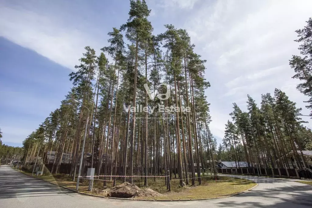 Участок, 16.3 сот., поселения (ижс) - Фото 0