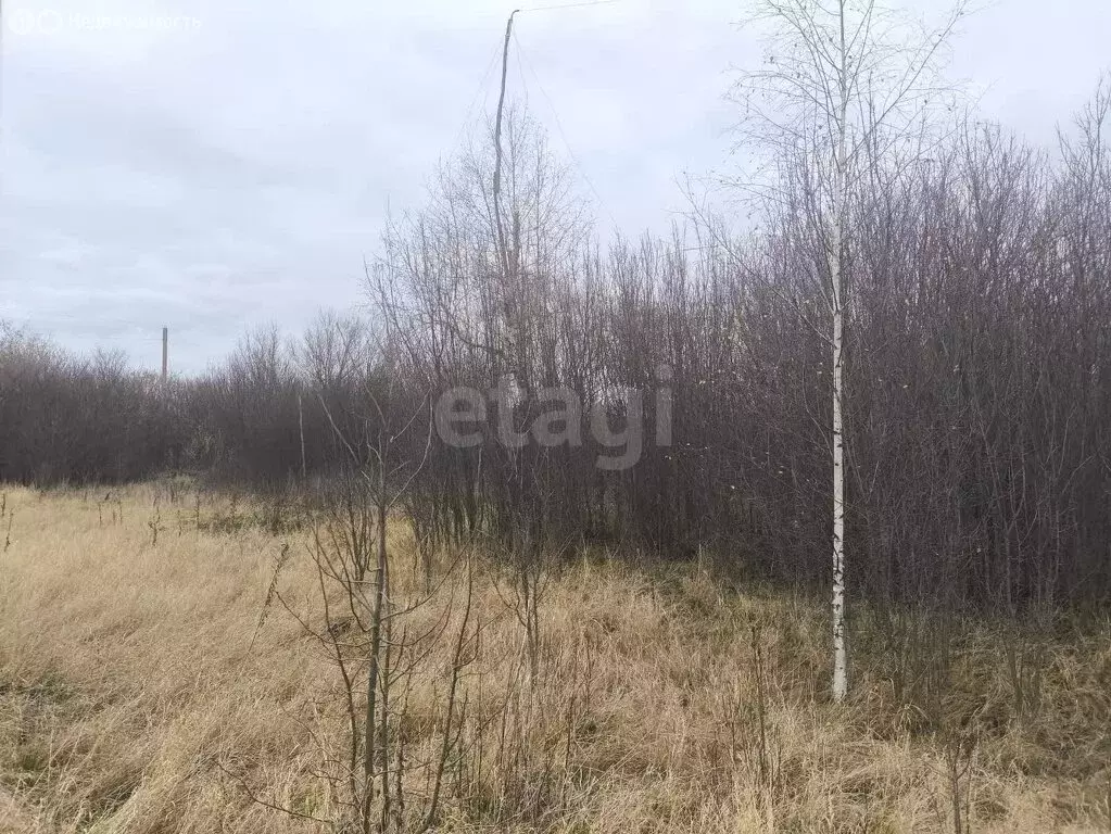 Участок в Сергиевское, Мадьяровская улица (20 м) - Фото 0