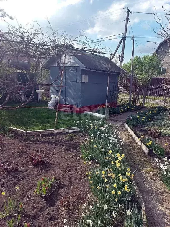Участок в Ставропольский край, Ставрополь Успех садовое товарищество, ... - Фото 2