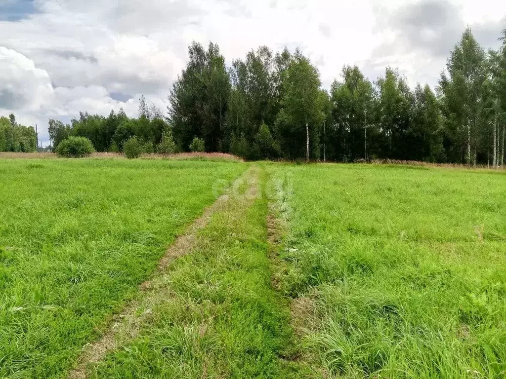 Участок в Псковская область, Пушкиногорье городское поселение, д. ... - Фото 1