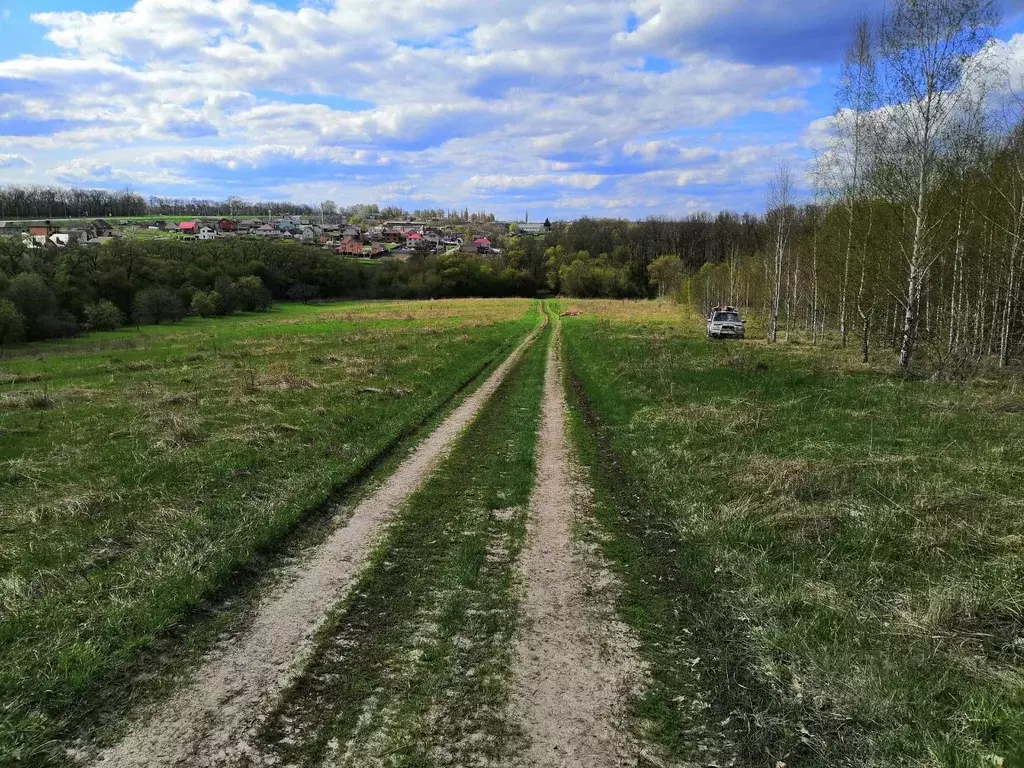 Нижнемедведицкий сельсовет. Татаренкова Курская область. Деревня Татаренкова Курск. Курская земля. Поселок Татаренкова Курск.