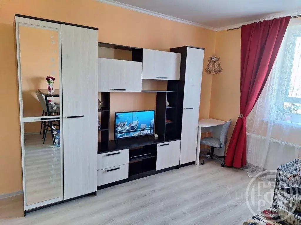 Студия Санкт-Петербург Парашютная ул., 42к1 (25.4 м) - Фото 1