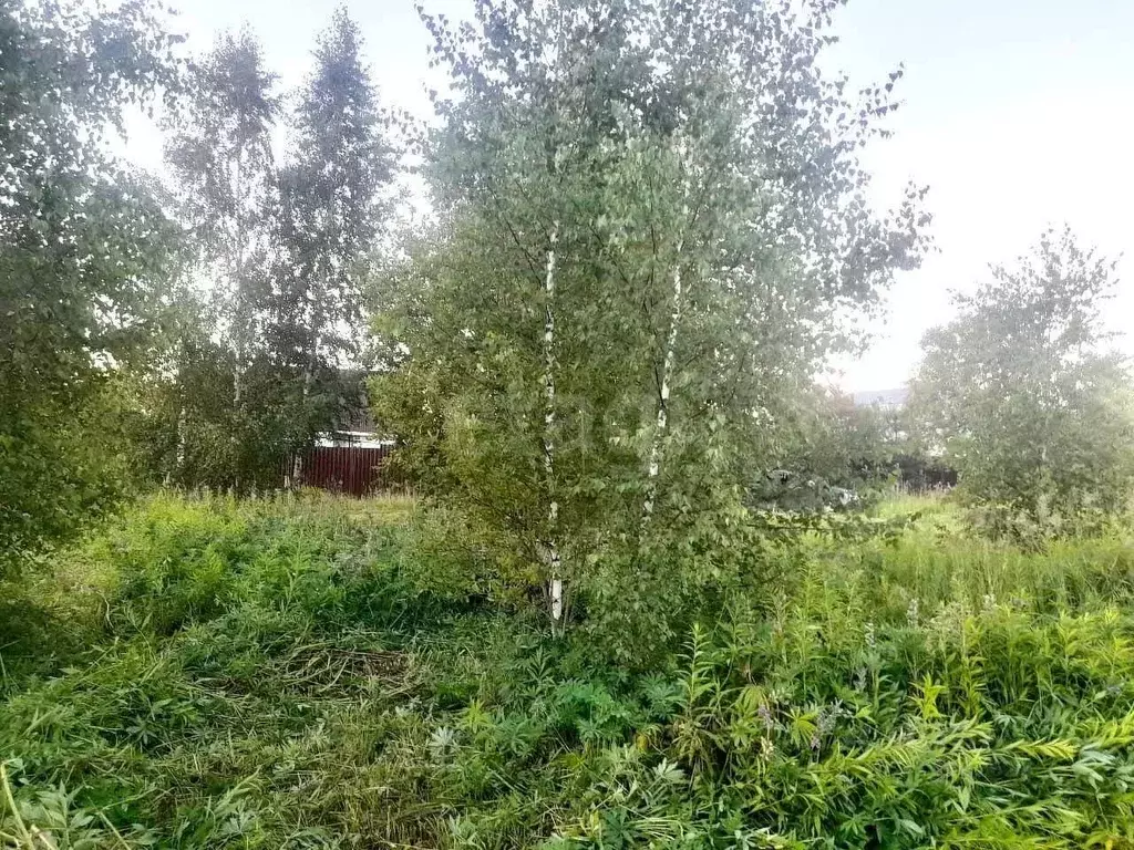 Участок в Московская область, Ступино городской округ, Лада СНТ 98 ... - Фото 0