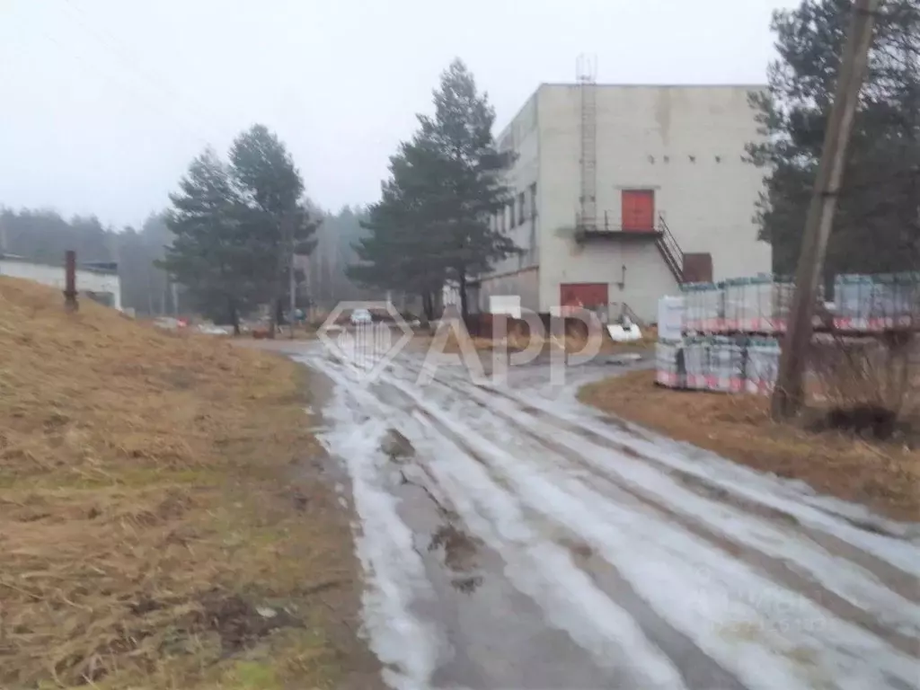 Производственное помещение в Брянская область, Брянск Радица-Крыловка ... - Фото 2