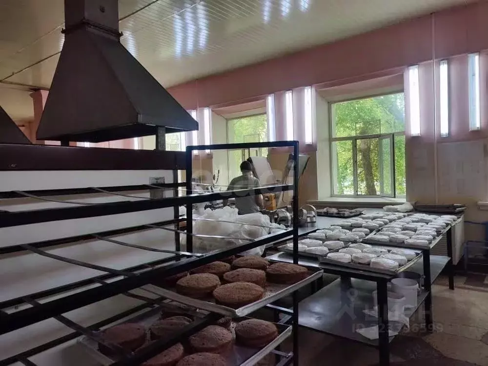 Помещение свободного назначения в Тюменская область, Тюмень ул. ... - Фото 1