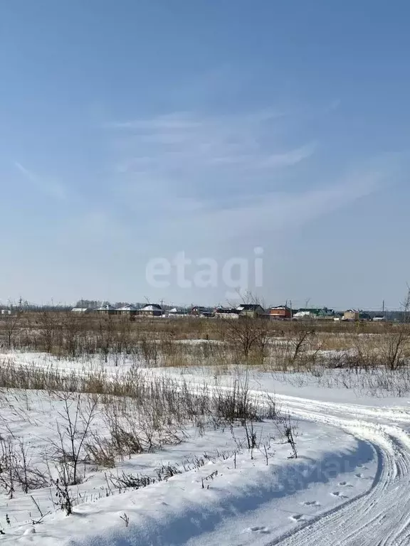 Участок в Ульяновская область, Ульяновск городской округ, с. Луговое  ... - Фото 1