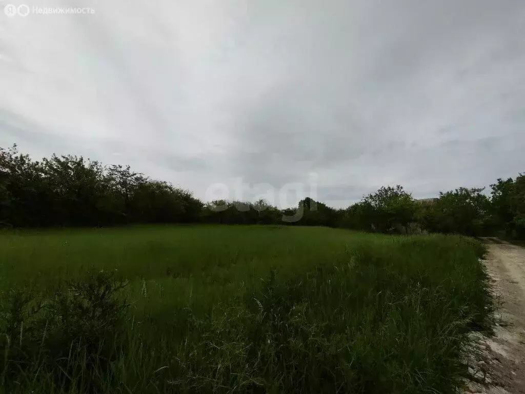 Участок в Беломестненское сельское поселение, садоводческое ... - Фото 0