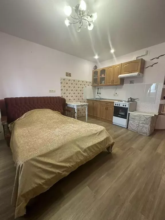 Квартира, студия, 24 м - Фото 1