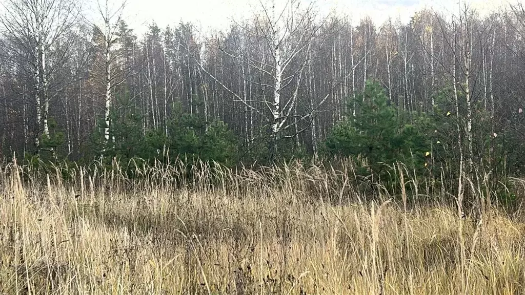 Участок в Московская область, Ступино пер. 2-й Знаменский (14.5 сот.) - Фото 1