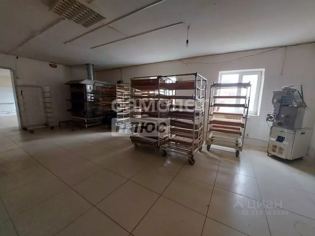 Производственное помещение в Оренбургская область, Илекский район, с. ... - Фото 1