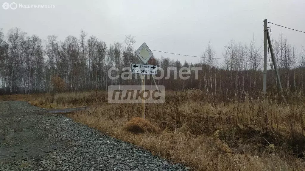 Участок в Тюменская область, Ишимский муниципальный округ, посёлок ... - Фото 2