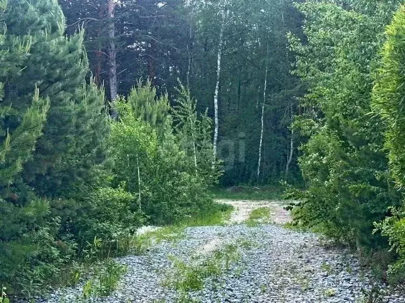 Участок в Тюменская область, Тюменский муниципальный округ, Победа кп  ... - Фото 2