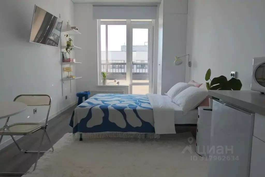 Студия Санкт-Петербург просп. Ветеранов, 198 (22.0 м) - Фото 0