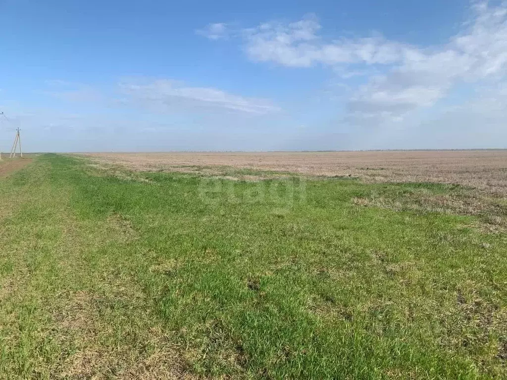 Участок в Крым, Красногвардейский район, Колодезянское с/пос, с. ... - Фото 1