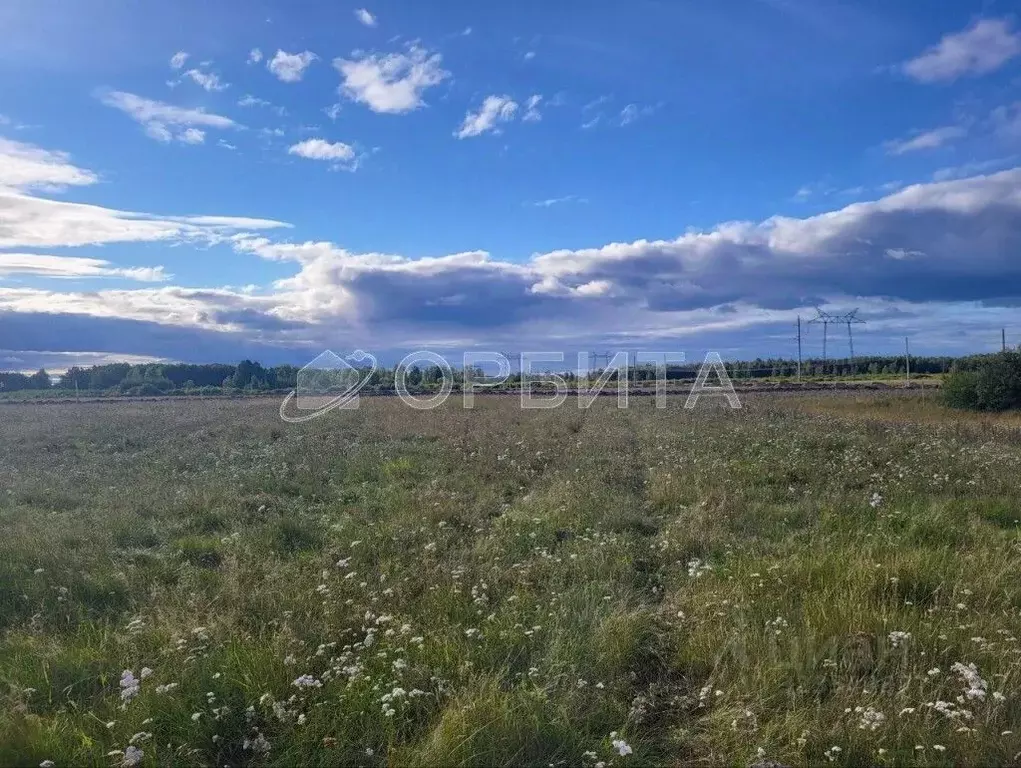 Участок в Тюменская область, Тюменский муниципальный округ, ... - Фото 1