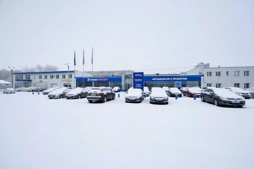 Помещение свободного назначения в Оренбургская область, Оренбург ул. ... - Фото 1