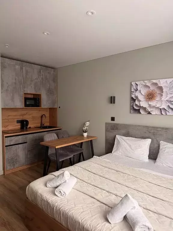 Студия Москва Ленинский просп., 158 (21.0 м) - Фото 2