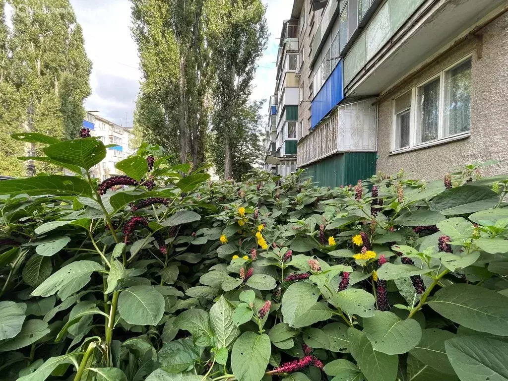 4-комнатная квартира: Липецк, улица П.А. Папина, 15 (61.2 м) - Фото 0