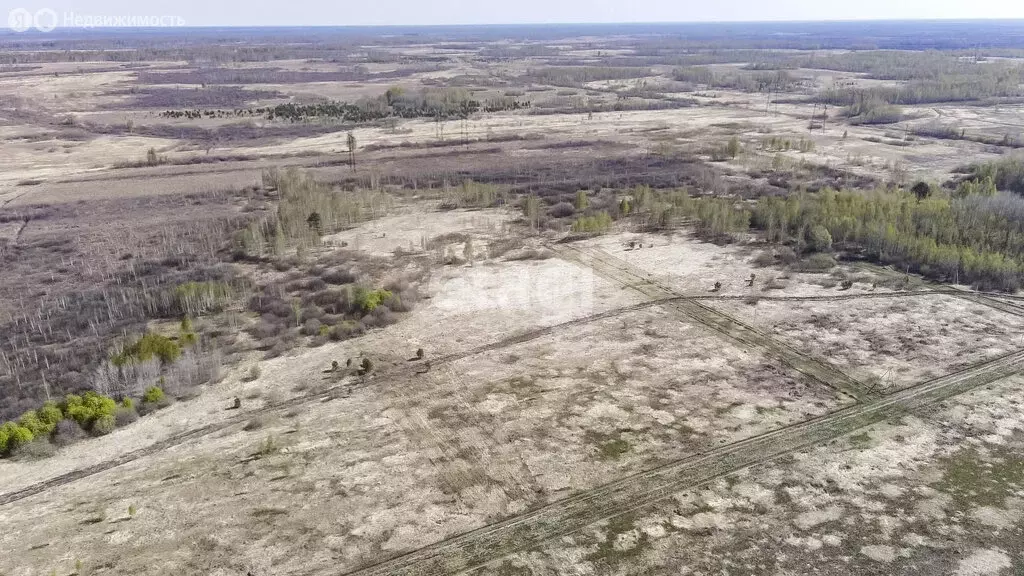 Участок в Тюменский район, село Борки (785000 м) - Фото 1