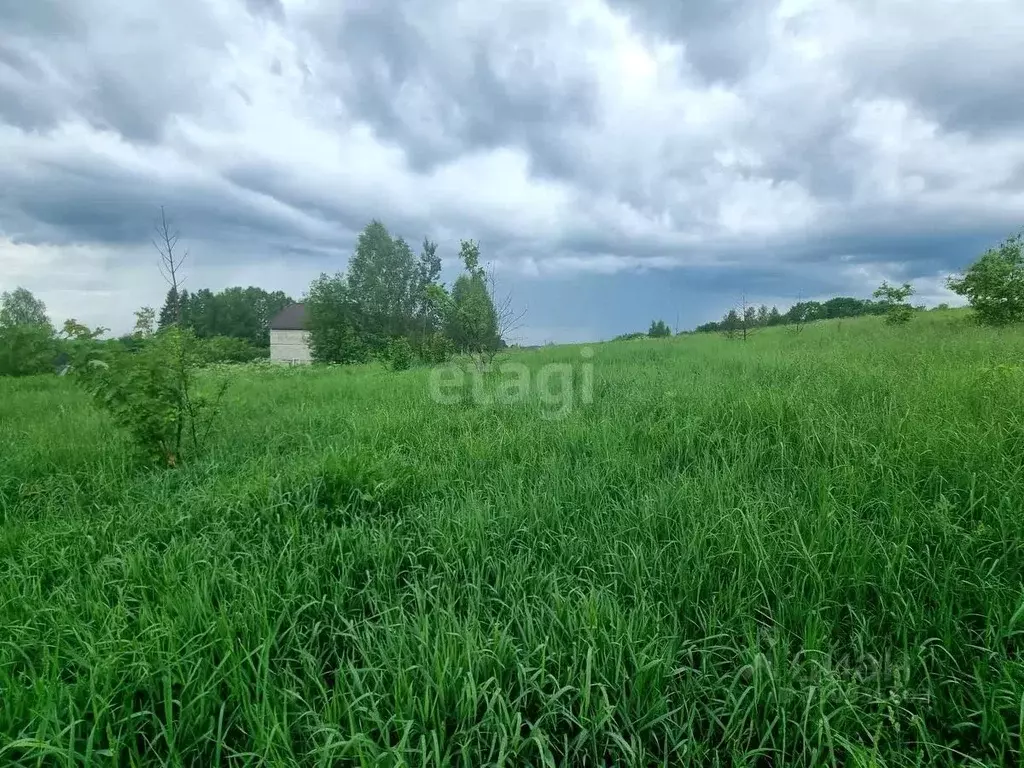 Участок в Смоленская область, Ярцево ул. Космонавта Титова, 14 (12.0 ... - Фото 1