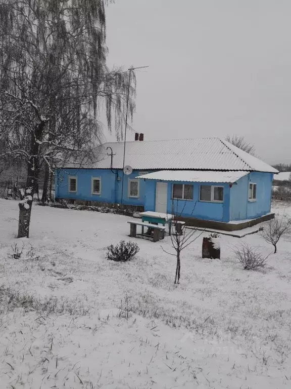 Дом в Воронежская область, Староведугское с/пос, с. Старая Ведуга  (80 ... - Фото 1