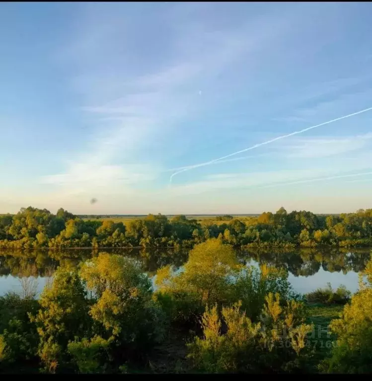 Участок в Рязанская область, Спасский район, Киструсское с/пос, с. ... - Фото 2
