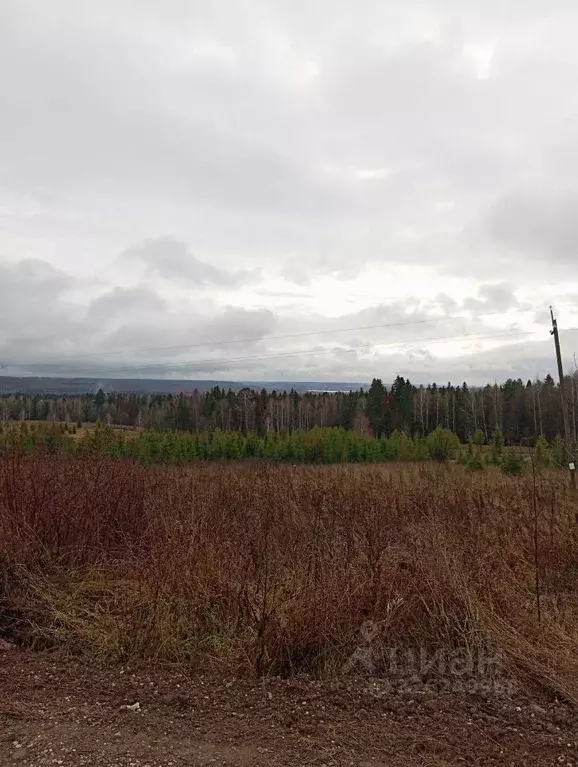 Участок в Пермский край, Пермский муниципальный округ, с. Платошино ... - Фото 0