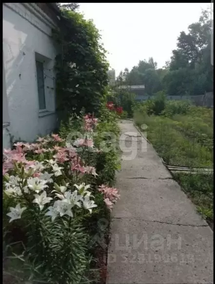 Дом в Амурская область, Райчихинск Тенистая ул., 1 (129 м) - Фото 2