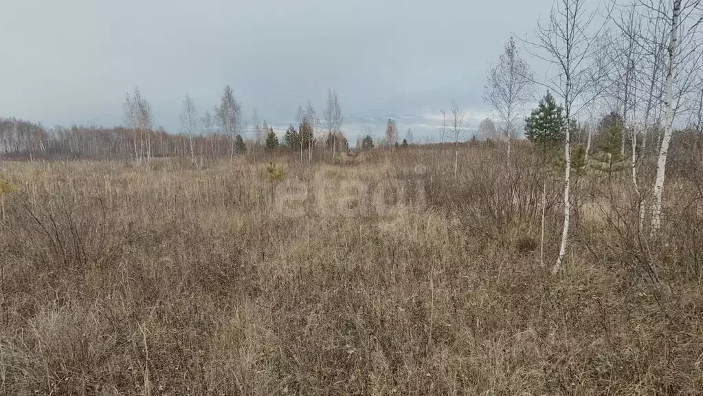 Участок в Тюменская область, Ялуторовский муниципальный округ, СО ... - Фото 1