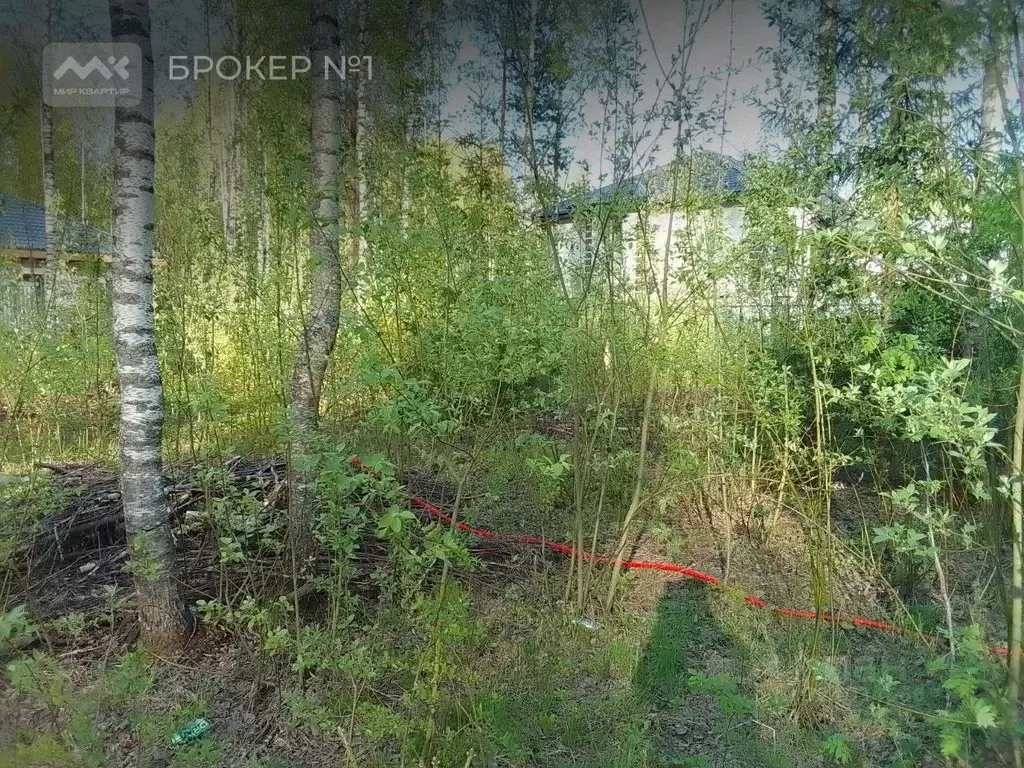 Участок в Ленинградская область, Всеволожск Новая ул., 12А (8.3 сот.) - Фото 2