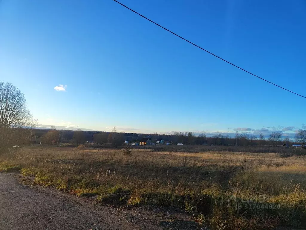 Участок в Новгородская область, Батецкий муниципальный округ, д. ... - Фото 1