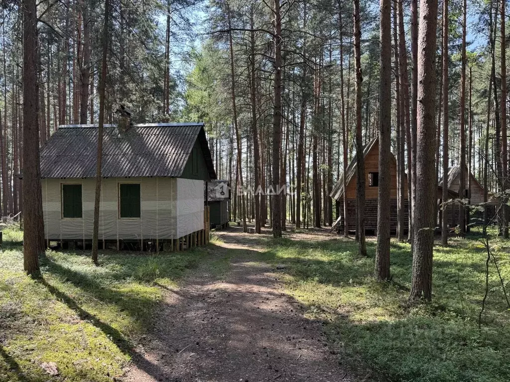 Дом в Ярославская область, Рыбинский муниципальный округ, Покровское ... - Фото 1