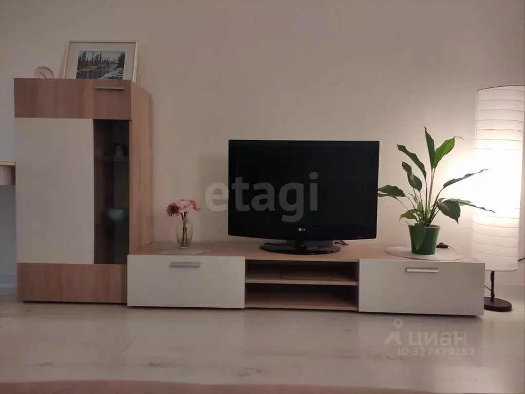 Студия Санкт-Петербург Белевский пер., 8 (24.0 м) - Фото 2