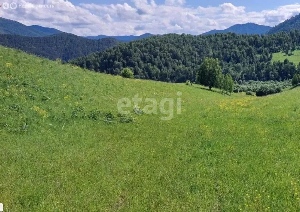 Участок в Камлак, Алтайская улица (20 м) - Фото 1