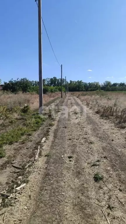Участок в Ростовская область, Азовский район, Новоалександровское ... - Фото 2