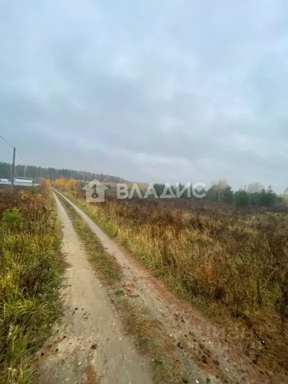 Участок в Владимирская область, Судогодский район, Лавровское ... - Фото 1