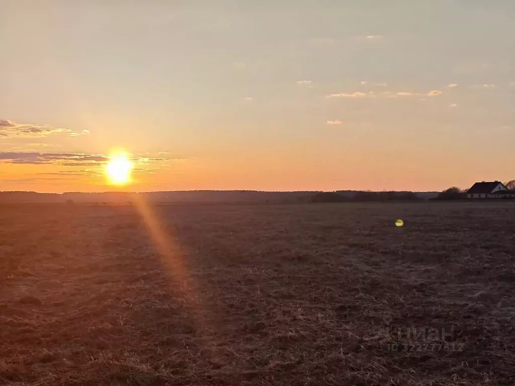 Участок в Калужская область, Дзержинский муниципальный округ, с. ... - Фото 2