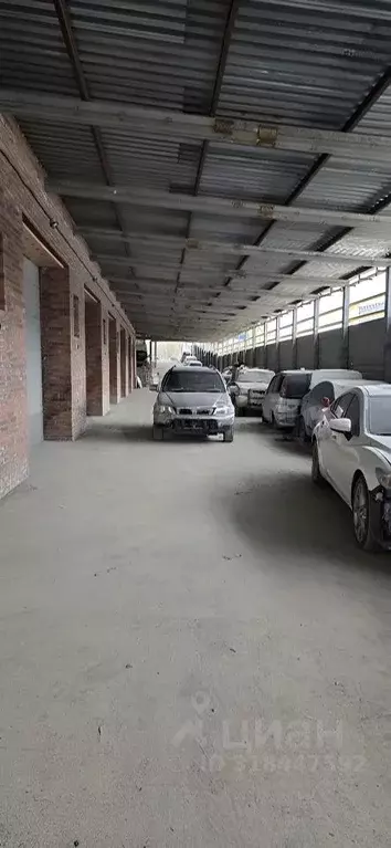 Помещение свободного назначения в Новосибирская область, Новосибирск ... - Фото 1