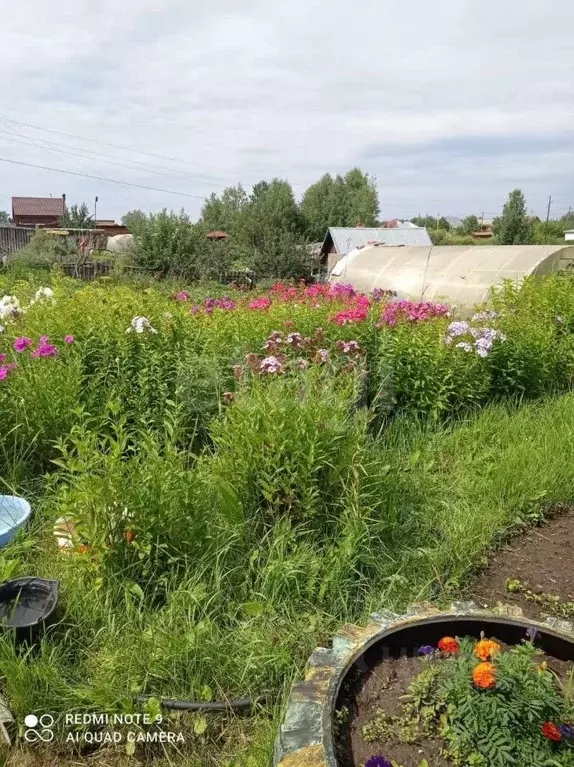 Дом в Томская область, Томск с. Дзержинское, Логовая ул. (34 м) - Фото 1