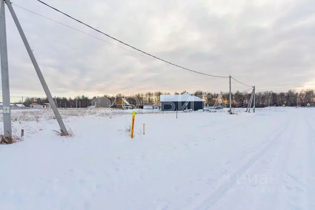 Участок в Тюменская область, Тюменский район, д. Падерина ул. Единства ... - Фото 0