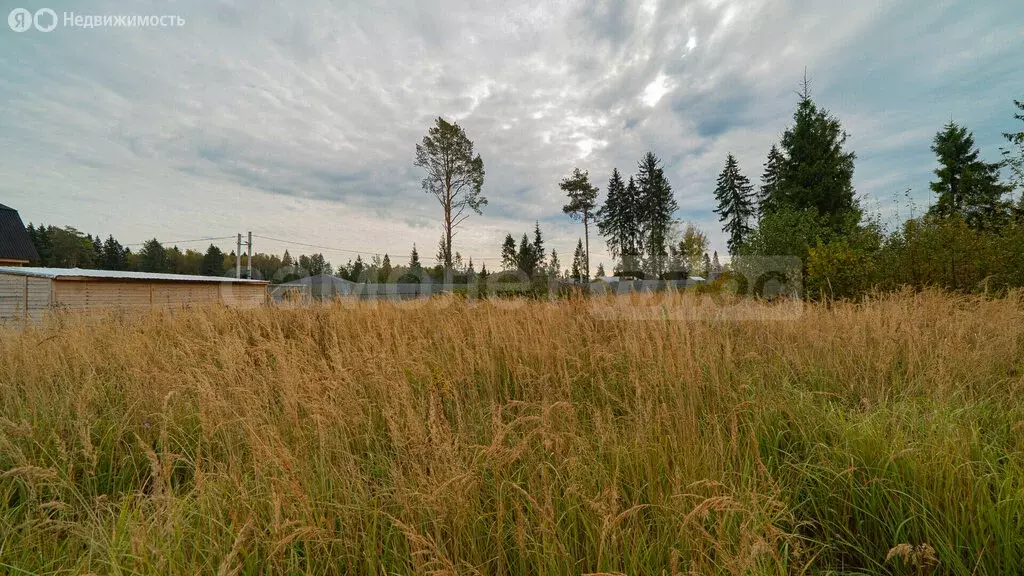 Участок в Наро-Фоминский городской округ, КП Турейка клаб (6.57 м) - Фото 1