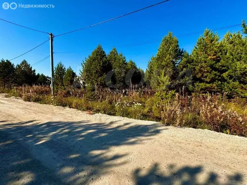 Участок в Тюменский район, деревня Елань (15 м) - Фото 1