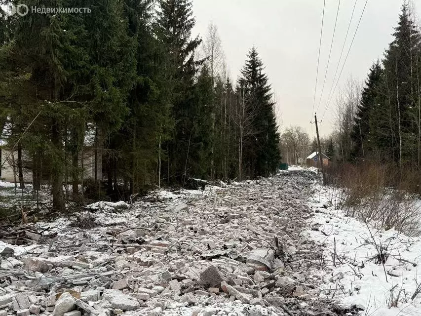 Участок в Ленинградская область, Гатчинский муниципальный округ, ... - Фото 2